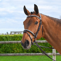 Bridon Clincher Jump'In One Premium Havane Marron