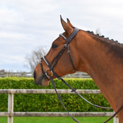 Bridon Clincher Jump'In One Premium Havane Marron