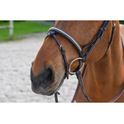 Bridon Clincher Jump'In One Premium Havane Marron