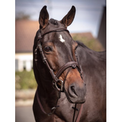 Bridon Friday muserolle combinée Jump'In week