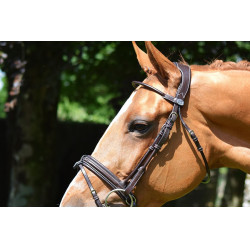 Bridon Friday muserolle combinée Jump'In week