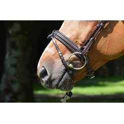 Bridon Friday muserolle combinée Jump'In week