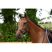 Bridon Hackamore Jump'In week Noir