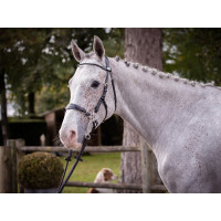 Bridon Hackamore Jump'In week Noir Bridon Hackamore Jump'In week Noir
