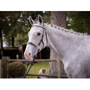 Bridon Hackamore Jump'In week Noir Bridon Hackamore Jump'In week Noir