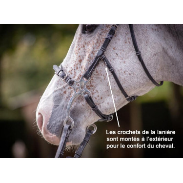 Bridon Hackamore Jump'In week Noir Bridon Hackamore Jump'In week Noir