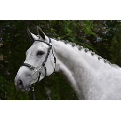 Bridon Hackamore Jump'In week Noir