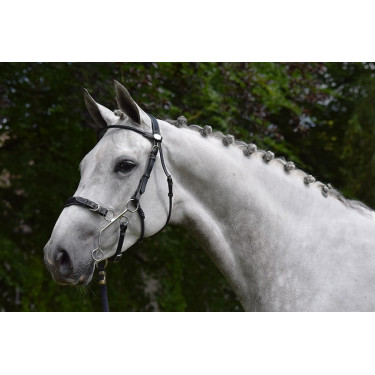Bridon Hackamore Jump'In week Noir Bridon Hackamore Jump'In week Noir