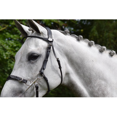 Bridon Hackamore Jump'In week Noir Bridon Hackamore Jump'In week Noir