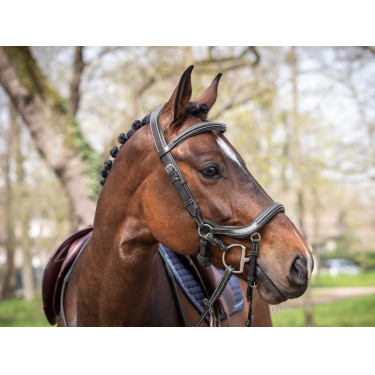 Bridon Jump'In Summer muserolle anatomique week Noir Bridon Jump'In Summer muserolle anatomique week Noir