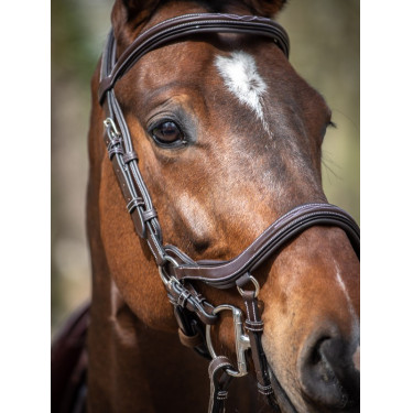 Bridon Jump'In Summer muserolle anatomique week Bridon Jump'In Summer muserolle anatomique week