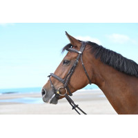 Bridon Jump'In Tuesday muserolle combinée week Havane