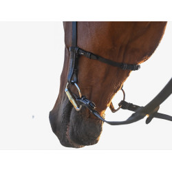 Bridon Liberty Jump'In One Noir Bridon Liberty Jump'In One Noir