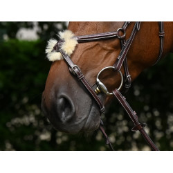 Bridon Thursday muserolle croisée Jump'In week