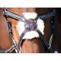 Bridon Wednesday muserolle croisée Jump'In week Havane Marron