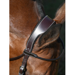 Bridon Wednesday muserolle croisée Jump'In week Havane Marron