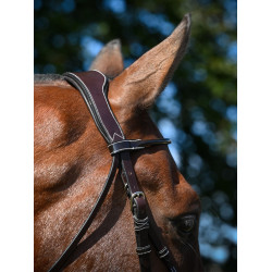 Bridon Wednesday muserolle croisée Jump'In week Havane Marron