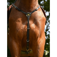Collier de chasse Monday Jump'In week Noir Collier de chasse Monday Jump'In week Noir