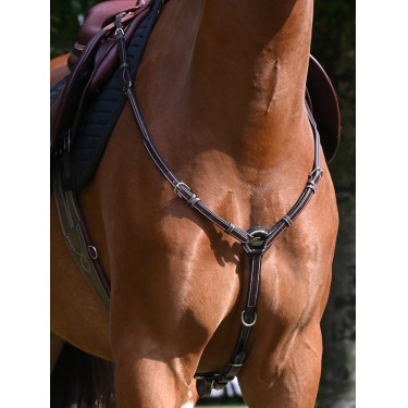 Collier de chasse Tuesday Jump'In week Collier de chasse Tuesday Jump'In week
