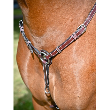 Collier de chasse Tuesday Jump'In week Collier de chasse Tuesday Jump'In week