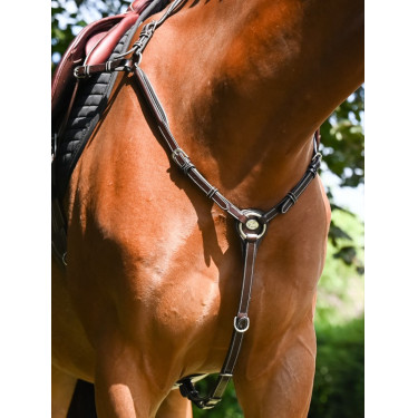 Collier de chasse Wednesday Jump'In week Collier de chasse Wednesday Jump'In week