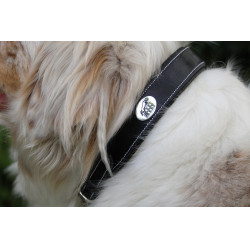 Collier pour chien Jump'In Noir