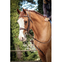 Enrênement Jump'In Patrick Havane Marron