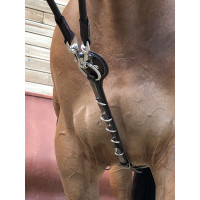 Enrênement Jump'In Patrick Havane Marron