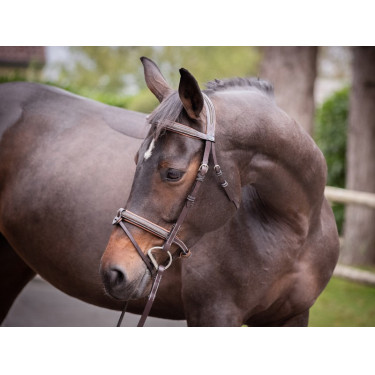 Filet Jump'In Crystal muserolle combinée Week Filet Jump'In Crystal muserolle combinée Week