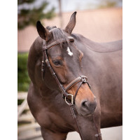 Filet Jump'In Crystal muserolle combinée Week Havane Marron