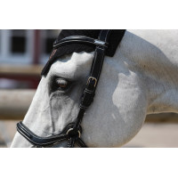 Filet Jump'In New York One Noir