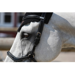 Filet Jump'In New York One Noir