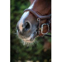 Filet Jump'In New York One Noisette Marron