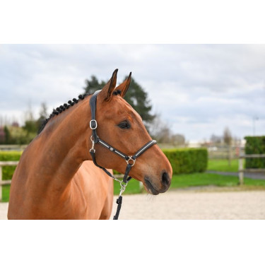Licol Clincher Jump'In One Premium Licol Clincher Jump'In One Premium
