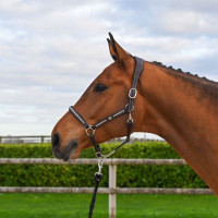 Licol Clincher Jump'In One Premium Havane Marron Licol Clincher Jump'In One Premium Havane Marron