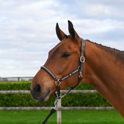 Licol Clincher Jump'In One Premium Havane Marron Licol Clincher Jump'In One Premium Havane Marron