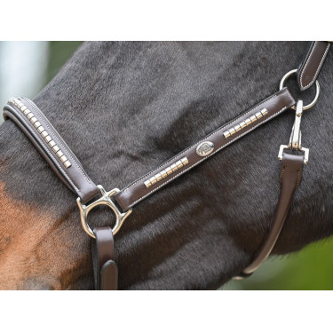 Licol Clincher Jump'In One Premium Licol Clincher Jump'In One Premium