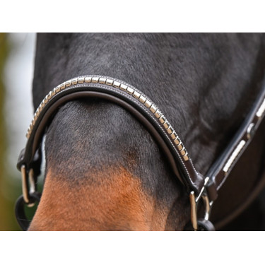 Licol Clincher Jump'In One Premium Licol Clincher Jump'In One Premium