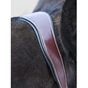 Licol Clincher Jump'In One Premium Licol Clincher Jump'In One Premium