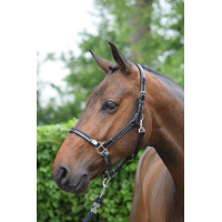 Licol de pansage Jump'In week Acajou Bordeaux