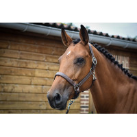 Licol Fancy Jump'In One Noisette Marron Licol Fancy Jump'In One Noisette Marron