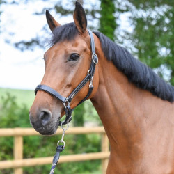 Licol Fancy Jump'In One Noir Licol Fancy Jump'In One Noir