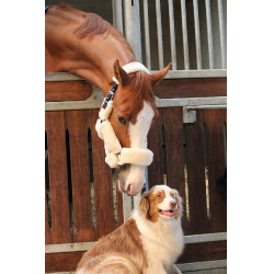 Licol Jump'In Soft One Beige Licol Jump'In Soft One Beige