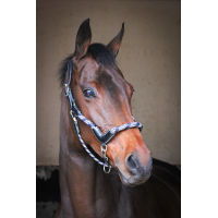 Licol travel Jump'In One Noir