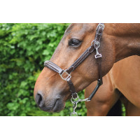 Licol wednesday Jump'In week Havane Marron Licol wednesday Jump'In week Havane Marron