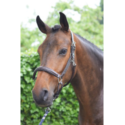 Licol wednesday Jump'In week Havane Marron Licol wednesday Jump'In week Havane Marron