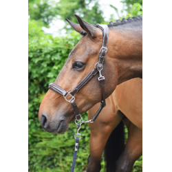 Licol wednesday Jump'In week Havane Marron Licol wednesday Jump'In week Havane Marron