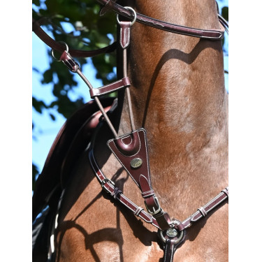 Martingale élastique de collier Jump'In