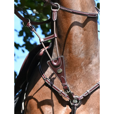 Martingale élastique de collier Jump'In Acajou