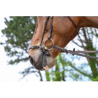 Muserolle allemande à chaîne Jump'In Week Havane